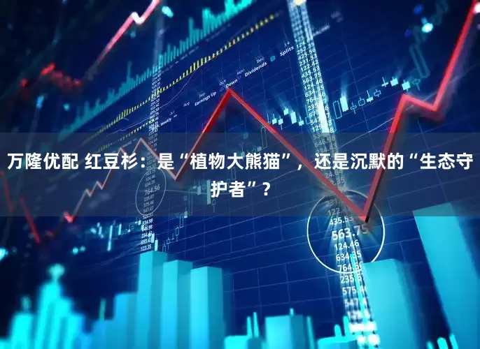 万隆优配 红豆杉：是“植物大熊猫”，还是沉默的“生态守护者”？